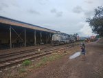 RUMO 9884